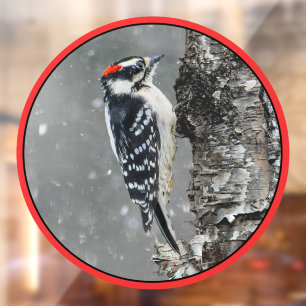 Autocollant Pour Fenêtre Pic Downy en neige - Photo originale