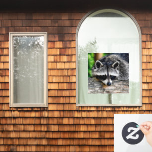Autocollant Pour Fenêtre Raccoon 003
