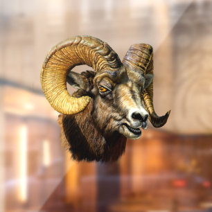 Autocollant Pour Fenêtre Ram Bighorn Mouton Nature sauvage