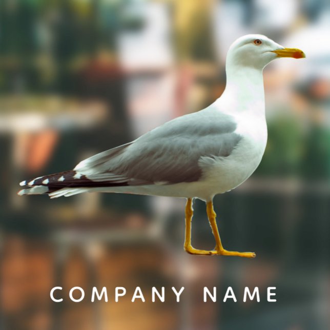 Autocollant Pour Fenêtre Seagull Cutout Amusant Réaliste Nautique Oiseau Pe (Créateur téléchargé)