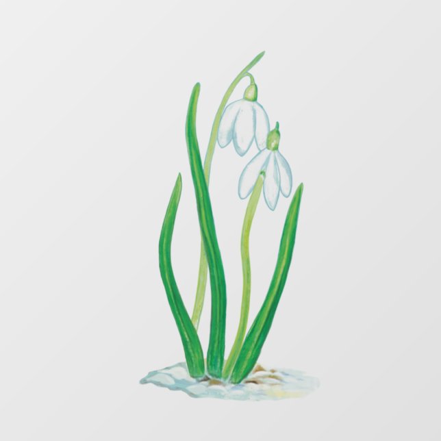 Autocollant Pour Fenêtre Snowdrops (Feuille)