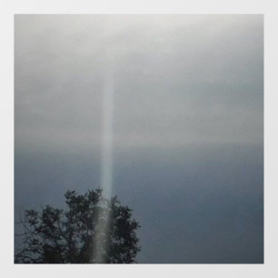 Autocollant Pour Fenêtre sticker murale éco design cool éco style