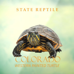 Autocollant Pour Fenêtre Tortue peinte occidentale du territoire du Colorad