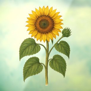 Autocollant Pour Fenêtre Tournesol Vintage