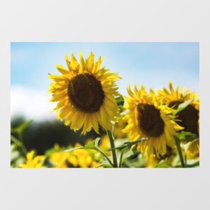 Autocollant pour fenêtre - Tournesols Etincelants