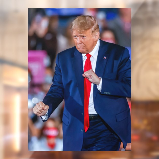 Autocollant Pour Fenêtre Trump Dance Funny (Feuille 2)