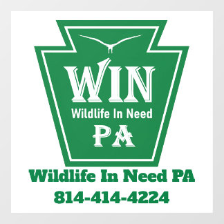 Autocollant Pour Fenêtre WIN Logo Window Cling-White background