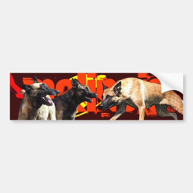 autocollant pour voiture malinois (Devant)