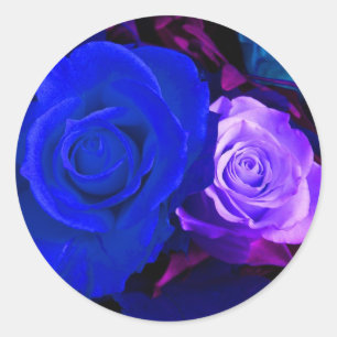 Autocollant pourpre bleu de roses -