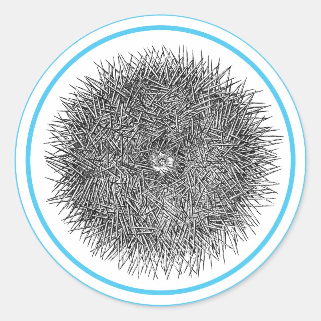 Autocollant Pricky Urchin (Devant)