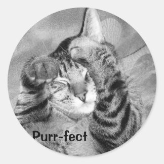 Autocollant Purr-fect