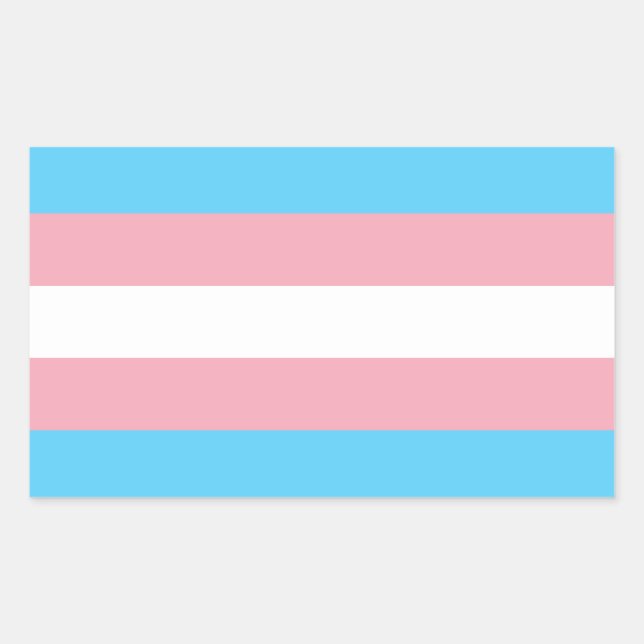 Autocollant rectangle de la fierté transgenre (Devant)