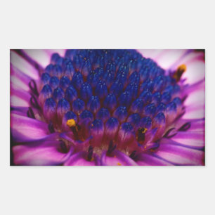 Autocollant rectangle en fleur de marguerite afric