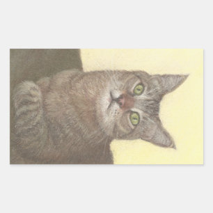 Autocollant rectangulaire Abyssinian Cat