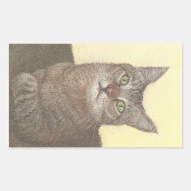Autocollant rectangulaire Abyssinian Cat (Devant)