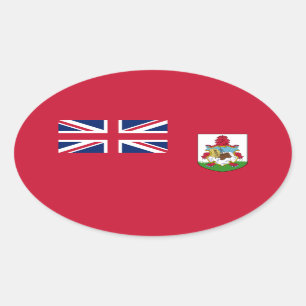 Autocollant rectangulaire du drapeau patriotique d