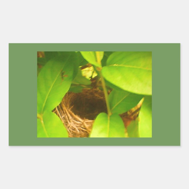 Autocollant rectangulaire Nid de colibri (Devant)
