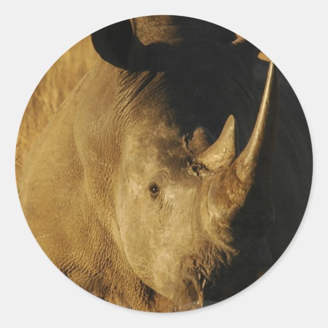 Autocollant Rhino (Devant)