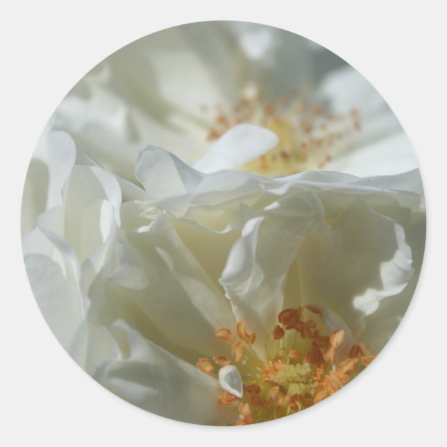 Autocollant rond blanc doux 1 (Devant)