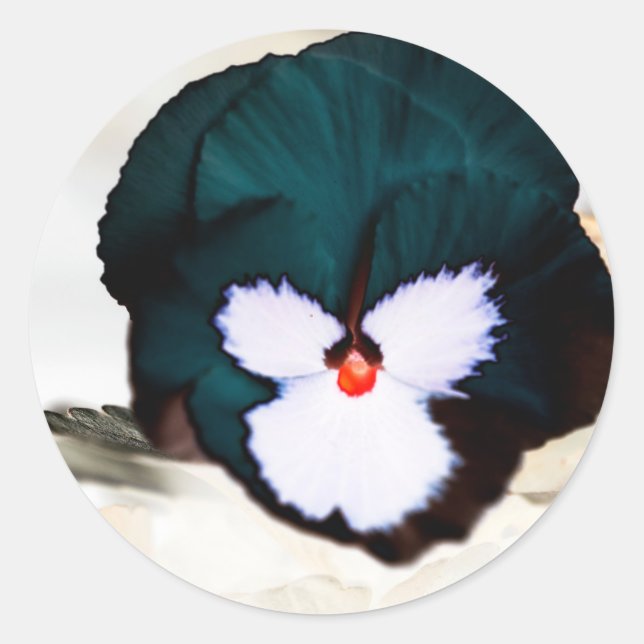 Autocollant Rond Classique avec Impression de Fleu (Devant)