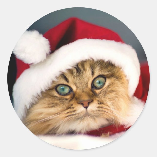 Autocollant rond classique chat tigré Santa (Devant)