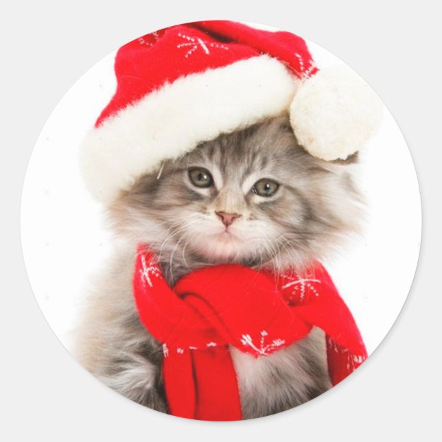 Autocollant rond classique de chaton de Noël migno (Devant)