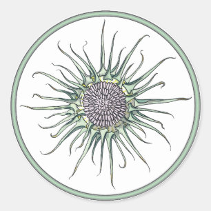 Autocollant rond de fleur de cercle et de chardon