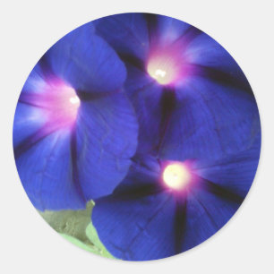 Autocollant Rond Floral