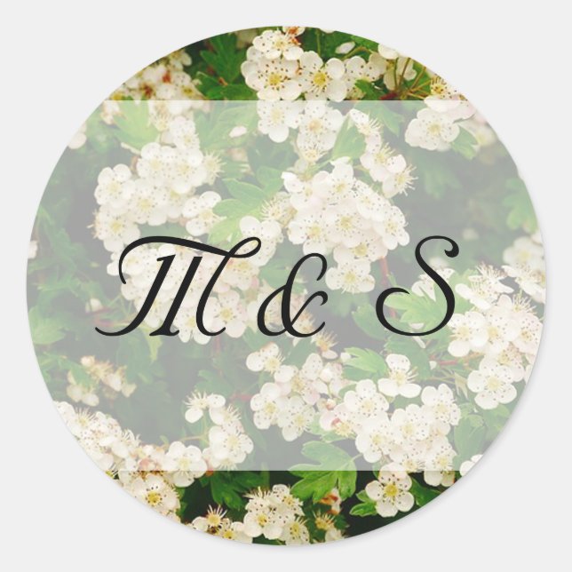 Autocollant rond Hawthron Blossom (Devant)