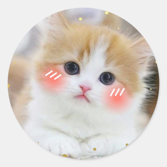 Autocollant Rond Visage Ému de Chat Mignon Kawaii (Devant)