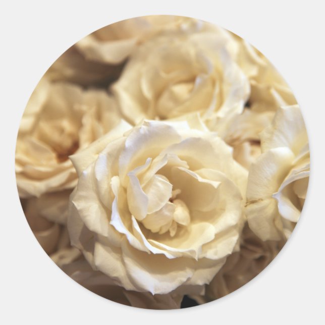 autocollant rose (Devant)