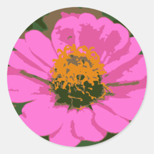 Autocollant rose de fleur de Zinnia