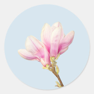 Autocollant rose de magnolia
