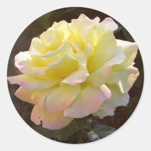Autocollant rose de paix