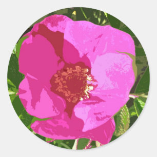 Autocollant Rose Hot Pink Beach Art numérique