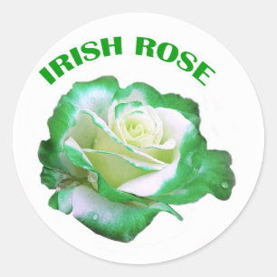 Autocollant Rose irlandais
