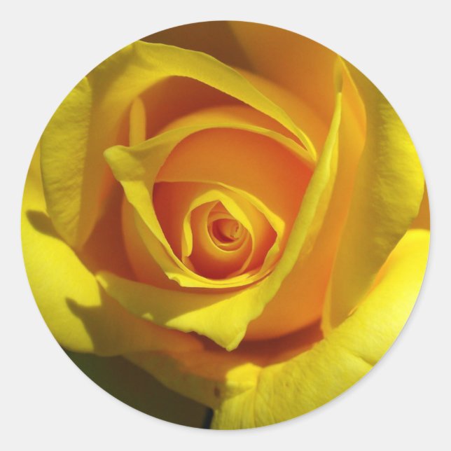 Autocollant Rose Jaune (Devant)