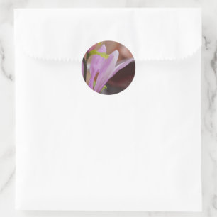 Autocollant rose Magnolia