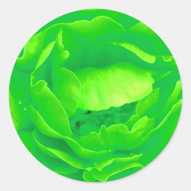 Autocollant Rose vert - personnalisable (Devant)