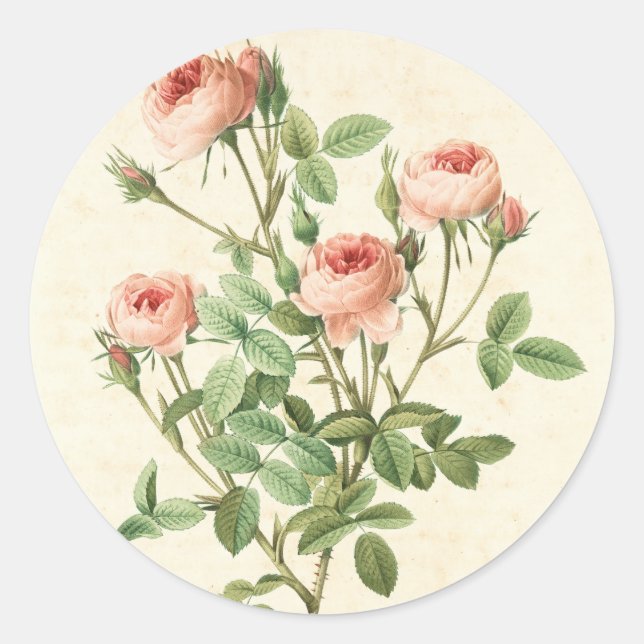 Autocollant Rose Vintage (Devant)