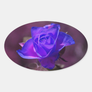 Autocollant Rose Violet Profond