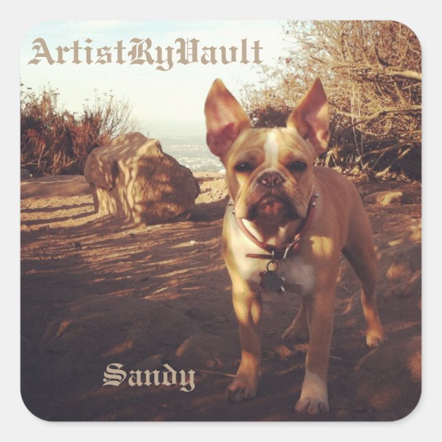 Autocollant Sandy ArtistRyVavlt (Devant)