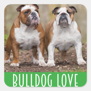 Autocollant / Sceau d'amour de chiot Bouledogue An