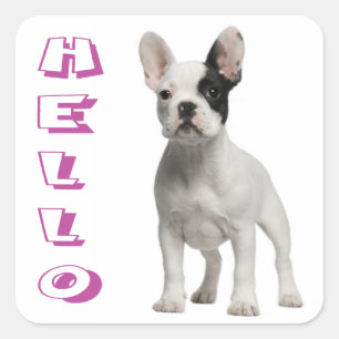 Autocollant / Sceau de chiot Bouledogue Français H