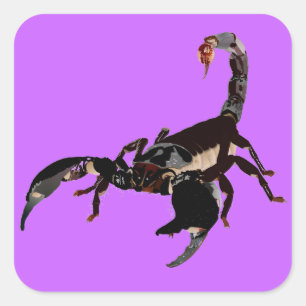 Autocollant scorpion