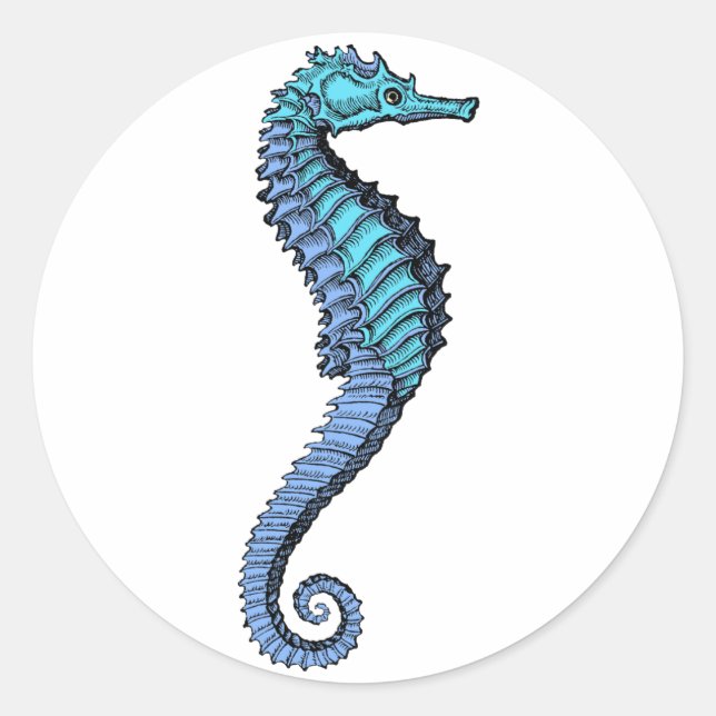 Autocollant Seahorse (Devant)