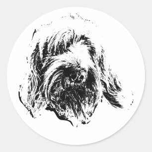 Autocollant Spinone Italiano – Tête de Chien Minim