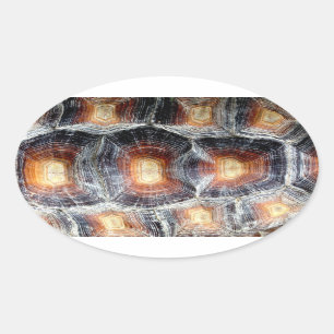 Autocollant Sulcata Tortoise Shell