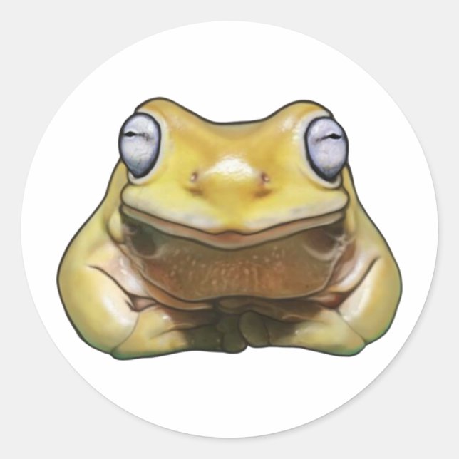 Autocollant Teddy timide garçon Sticker (Devant)