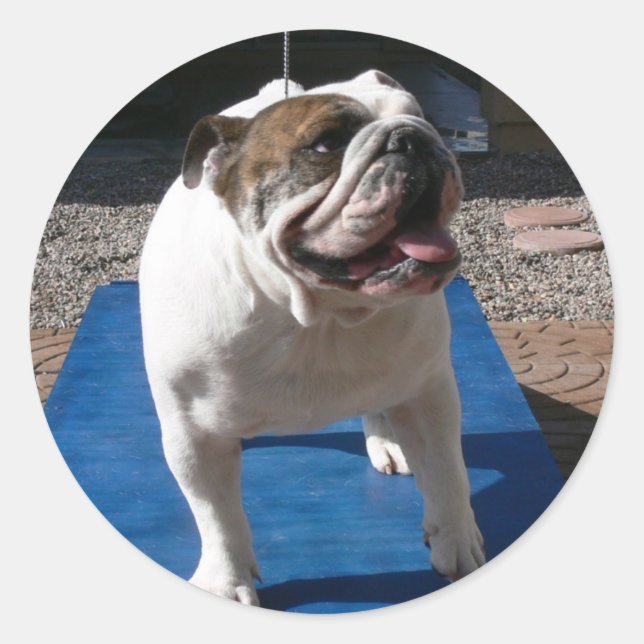 Autocollant Titan (Devant)